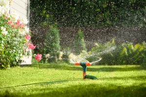 Giardiniere a Cerveteri